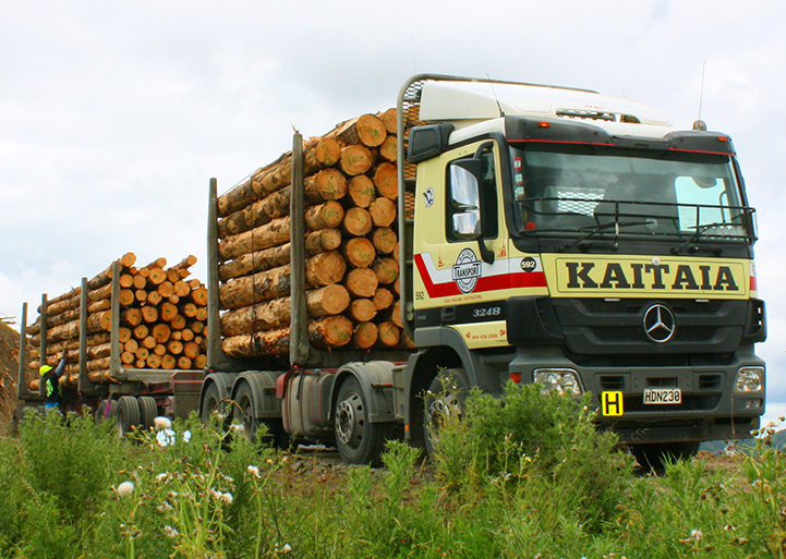 man tagging logs